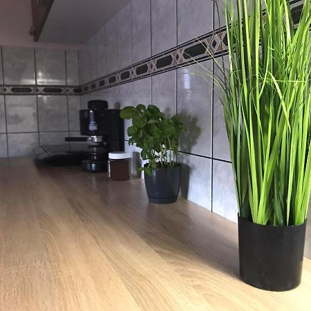 Tahiti Apartman Apartment ไฮจ์ดุสโซบอสโล ภายนอก รูปภาพ