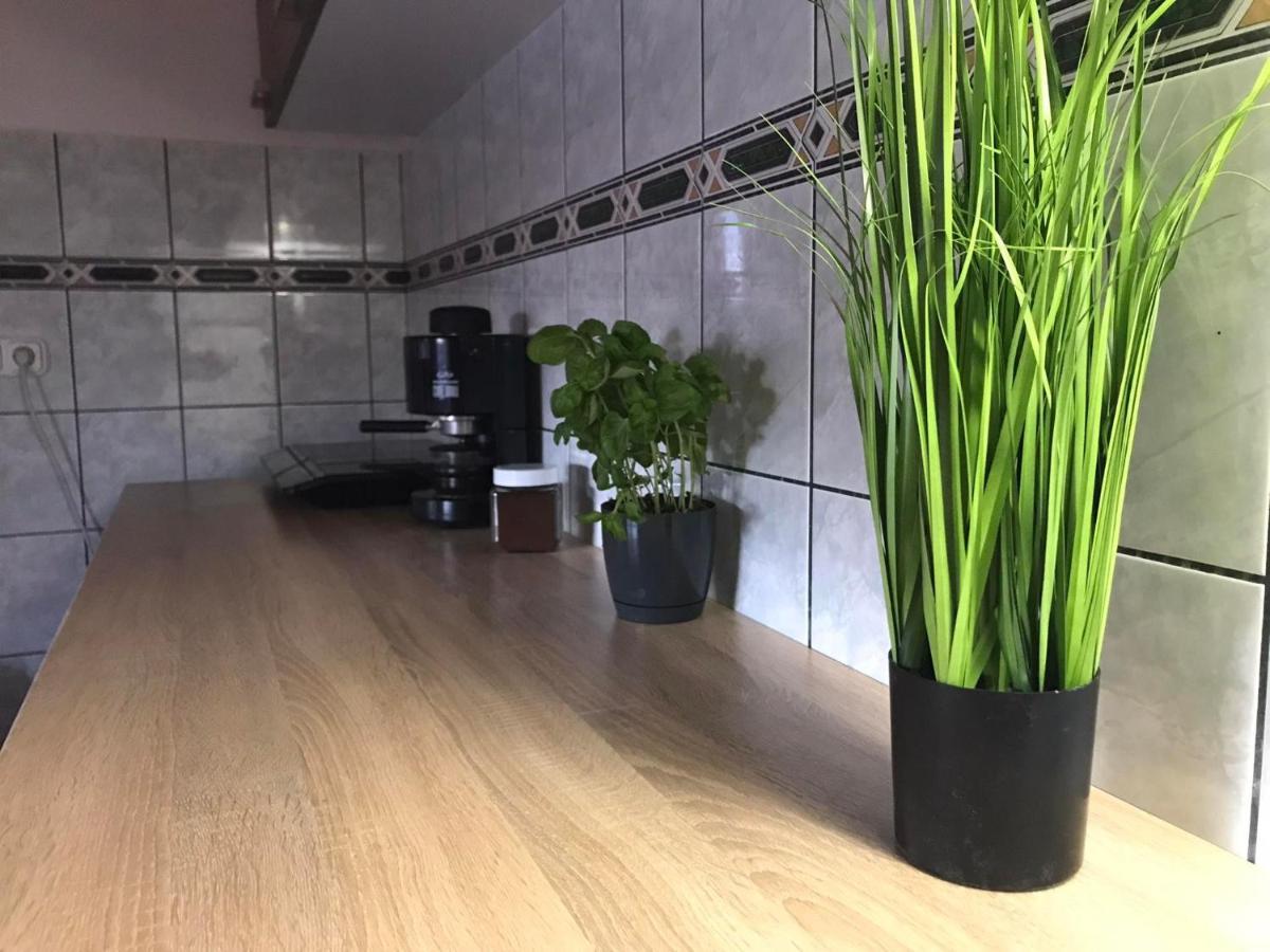 Tahiti Apartman Apartment ไฮจ์ดุสโซบอสโล ภายนอก รูปภาพ